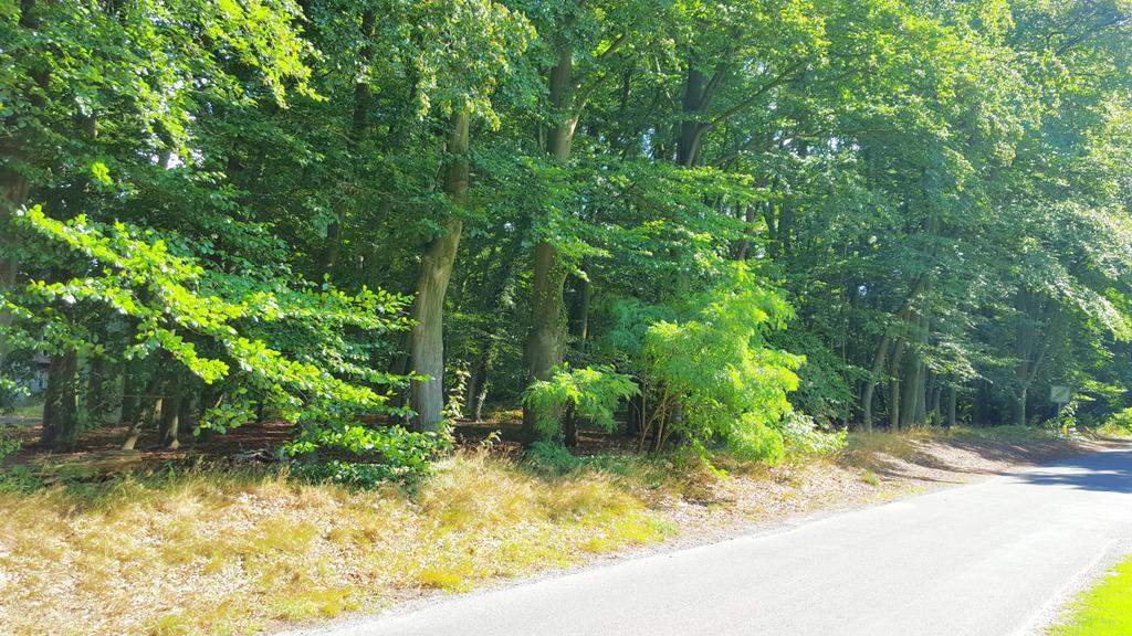 Ferienwohnung Strudthoff Ganderkesee Luaran gambar